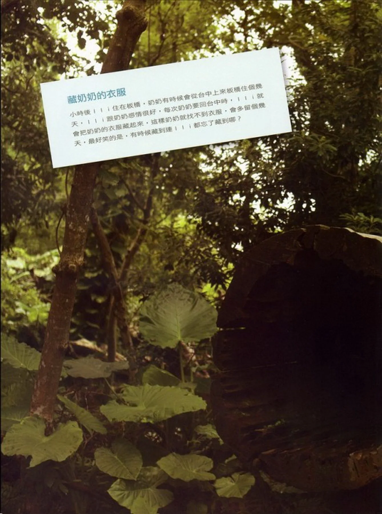 Cô gái cốt lết gà Zheng Jiazhen/Zheng Jiachun - Sách ảnh "Món quà tuổi mười tám" - 163