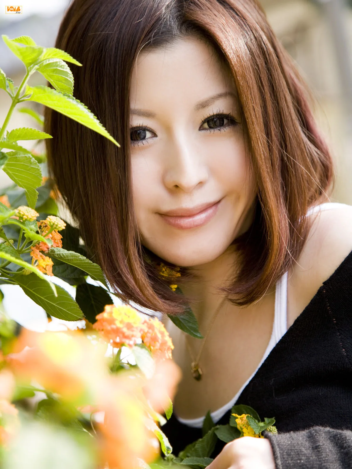 Bom.TVAkiko Hayashi, tháng 2 năm 2008 - 7