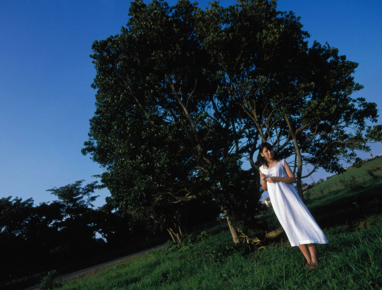 [Xin chào! Dự án sách điện tử] Album ảnh số 34 của Sugaya Risako - 20